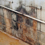 Mold Mold