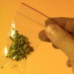 MedMarijuana2 MedMarijuana2
