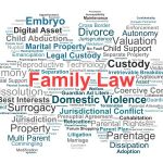 FamLaw7